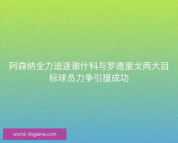 阿森纳全力追逐谢什科与罗德里戈两大目标球员力争引援成功